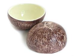 Picture of Vegetabowls Coconut Bowl