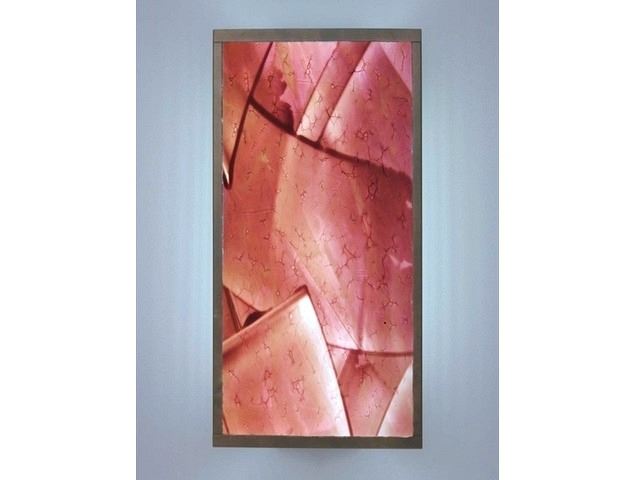 Picture of Wall Sconce | Tall Merlot