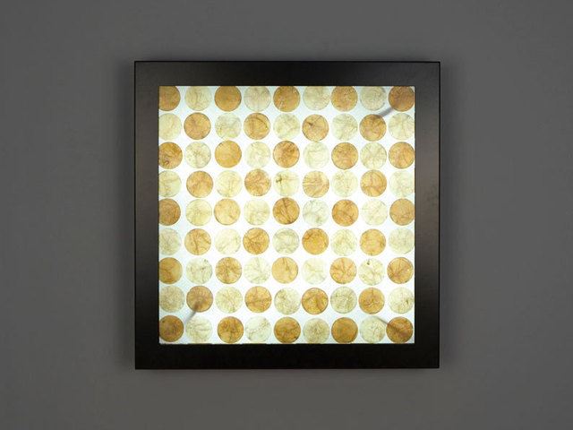 Picture of Wall Sconce | V-II Square | Fluorescent