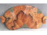 Picture of Grant-Norén Environment Serving Tray - Burl