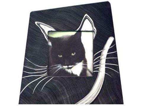Grant-Norén Cat Frame #2
