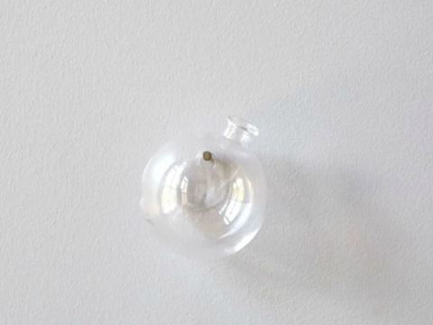 Clear Wall Hanging Sphere Vase