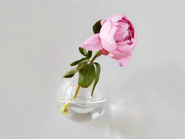 Picture of Clear Wall Hanging Sphere Vase