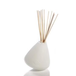 Diffuser Glass Vase by Alixx