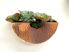Picture of Half Round Hanging Copper Wall Planters by SoLuna