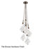 Picture of Blown Glass Pendant Chandelier | Blossom 6