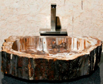 petrified wood bathroom sink